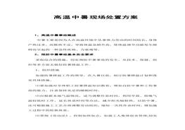 高溫中暑現(xiàn)場處置方案docx