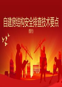 自建房結構安全排查技術要點（暫行）pptx