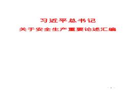 習(xí)近平總書(shū)記安全生產(chǎn)重要論述匯編docx