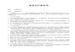 安全生產(chǎn)責(zé)任書(shū)(12)doc