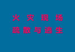火災現場疏散與逃生（56頁）pptx