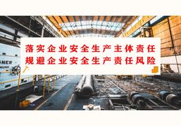 如何規(guī)避企業(yè)安全生產(chǎn)責(zé)任風(fēng)險(xiǎn)（102頁(yè)）pptx