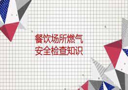 餐飲場(chǎng)所燃?xì)獍踩珯z查知識(shí)pptx
