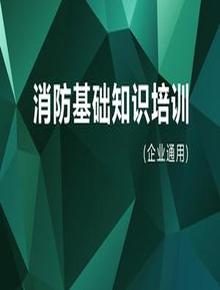2023企業(yè)通用消防基礎(chǔ)知識(shí)培訓(xùn)（167頁(yè)）pptx