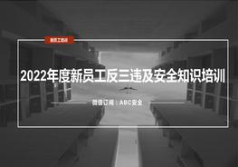 新員工安全生產(chǎn)知識(shí)及反三違培訓(xùn)pptx