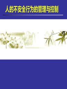 人的不安全行為的管理與控制（120頁）(1)ppt