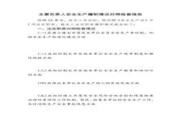 主要負(fù)責(zé)人履職情況檢查報(bào)告（僅供參考）docx