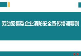 勞動密集型企業(yè)消防安全宣傳培訓(xùn)要則ppt