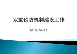 雙重預(yù)防機(jī)制建設(shè)工作(企業(yè)版)pptx