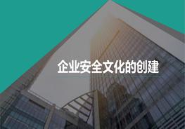 企業(yè)安全文化的建立pptx