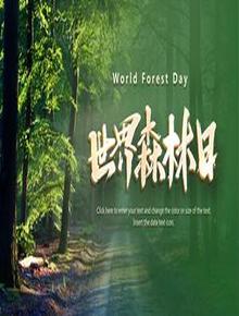 世界森林日pptx