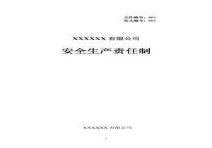 公司各崗位安全生產(chǎn)責(zé)任制匯編doc