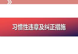 習慣性違章及糾正措施ppt