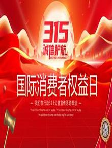 315國際消費者權益日公益宣傳活動策劃模版pptx