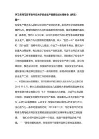 學(xué)習(xí)貫徹習(xí)近平總書(shū)記關(guān)于安全生產(chǎn)重要論述心得體會(huì)docx