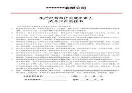 安全崗位責(zé)任書及任命書doc