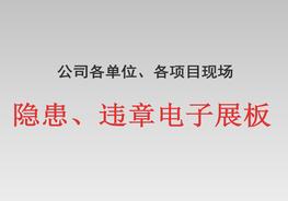 項目現(xiàn)場HSE隱患圖電子展板pptx