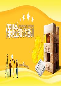 風(fēng)險(xiǎn)保險(xiǎn)知識培訓(xùn)（30頁）pptx