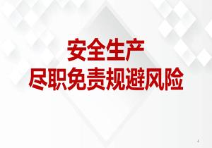 安全生產(chǎn)盡職免責(zé)規(guī)避風(fēng)險(xiǎn)（100頁）ppt