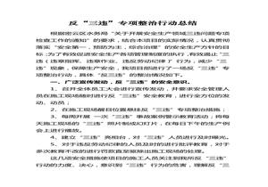 反三違活動總結報告doc