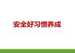 安全好習(xí)慣養(yǎng)成pptx