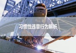 習慣性違章行為解析ppt