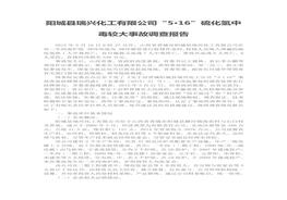 陽城縣瑞興化工有限公司“5·16”硫化氫中毒較大事故調查報告doc