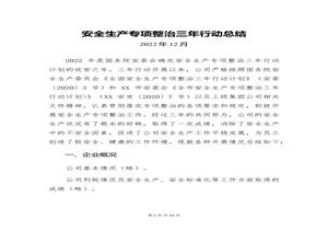 安全生產(chǎn)專項整治三年行動總結(jié)-新版docx