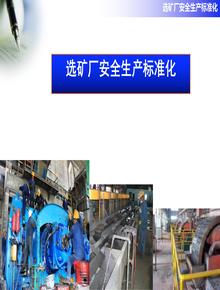選礦廠安全標(biāo)準(zhǔn)化評(píng)分辦法課件ppt