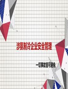 涉氨制冷企業(yè)安全管理ppt