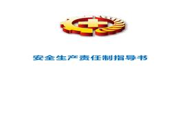 安全生產(chǎn)責(zé)任制指導(dǎo)書doc
