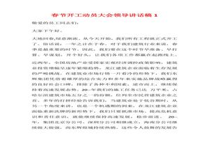 春節(jié)開工動員大會領(lǐng)導(dǎo)講話稿docx