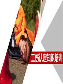 工傷認(rèn)定知識(shí)培訓(xùn)（48頁(yè)）pptx