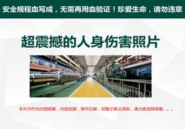 史上最震撼的事故照片合集，慎入pptx