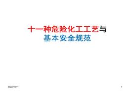 十一種危險(xiǎn)化工工藝與基本安全規(guī)范（58頁）pptx