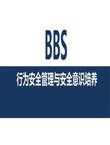 行為安全管理與安全意識(shí)培養(yǎng)（113頁）pptx