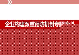 企業(yè)構(gòu)建雙重預(yù)防機制專題培訓(xùn)ppt