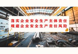 落實(shí)企業(yè)安全生產(chǎn)主體責(zé)任制專題培訓(xùn)pptx