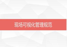 現(xiàn)場可視化管理規(guī)范pptx