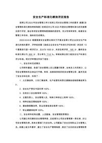 安全生產(chǎn)標(biāo)準(zhǔn)化績效評(píng)定報(bào)告docx