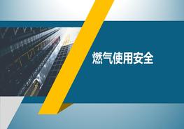 燃氣使用安全知識培訓（32頁）pptx