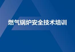 燃氣鍋爐安全技術培訓（31頁）pptx