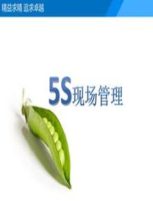 5S現(xiàn)場管理pptx