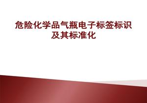 氣瓶電子標(biāo)識及其標(biāo)準(zhǔn)化（39頁）pptx
