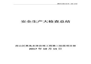 安全生產大檢查總結docx