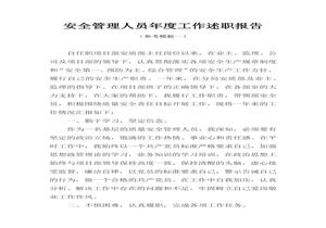 安全管理人員年度工作述職報告（19頁）docx