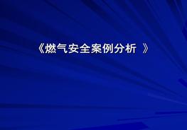 燃?xì)獍踩咐治鲋v解（160頁(yè)）pptx