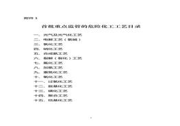 15種危險化工工藝doc