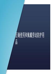 正確使用和佩戴勞動防護用品丨32頁pptx