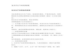 安全生產(chǎn)問(wèn)責(zé)制度docx